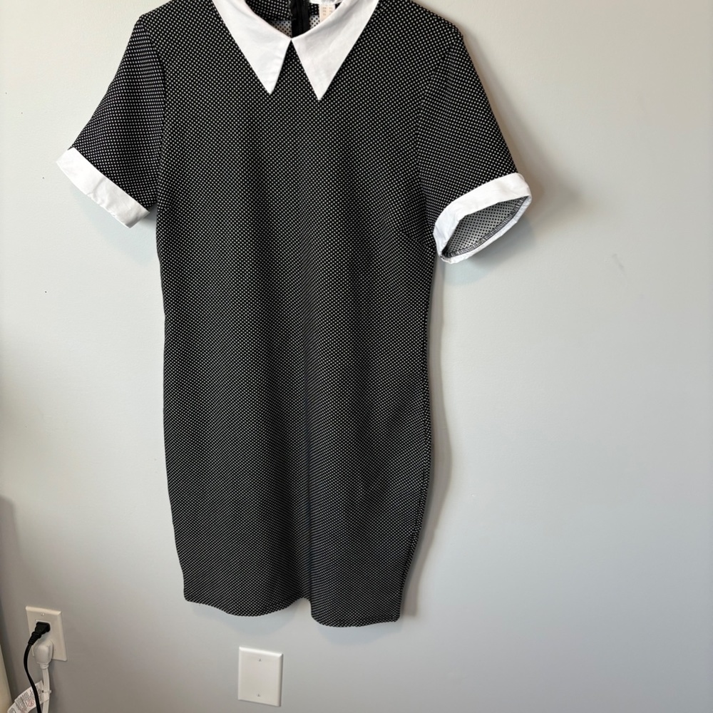 Revamped Dress Collection Polka Dot, Collared Dress, Black and white, SZ XL, NWT - Picture 8 of 9